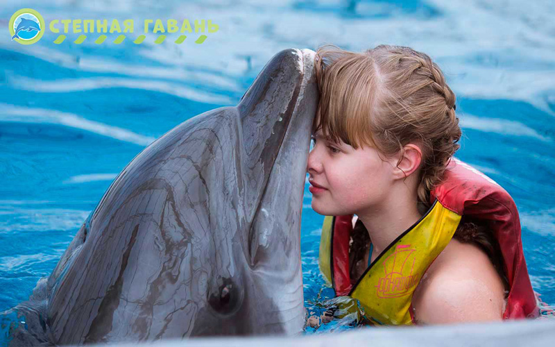 Дельфинарий на отдыхе с детьми в Штормовом